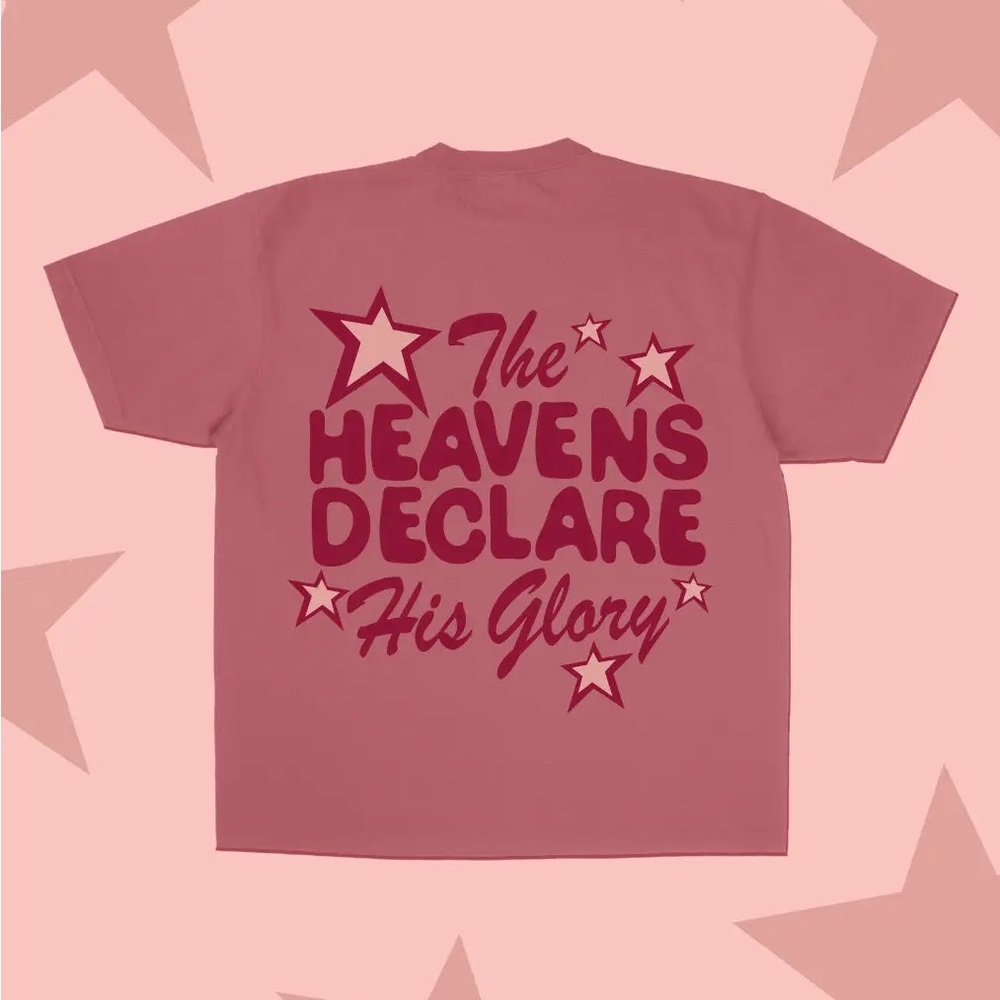 The Heavens Declare His Glory Short Sleeve Tee - Dusty Rose